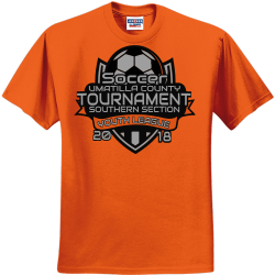 Unveiling Don Quixote's Odyssey